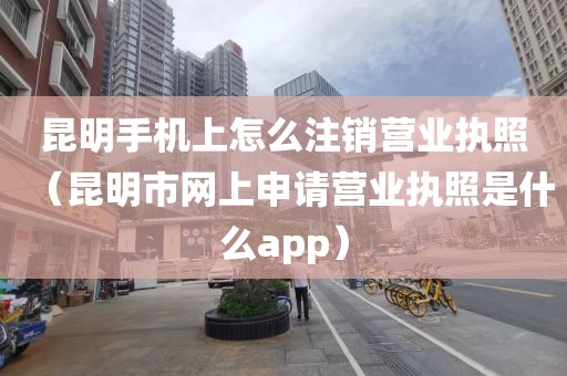 昆明手机上怎么注销营业执照（昆明市网上申请营业执照是什么app）