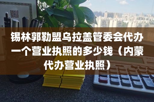 锡林郭勒盟乌拉盖管委会代办一个营业执照的多少钱（内蒙代办营业执照）