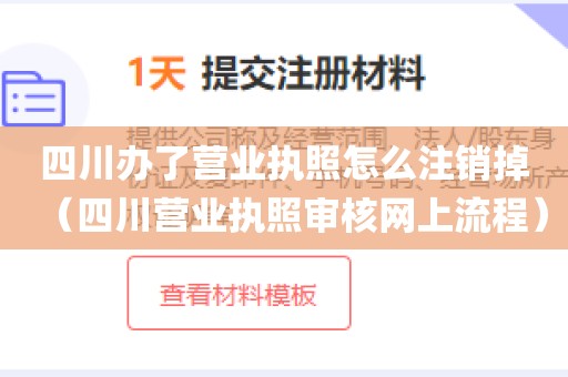 四川办了营业执照怎么注销掉（四川营业执照审核网上流程）