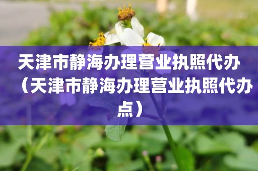 天津市静海办理营业执照代办（天津市静海办理营业执照代办点）