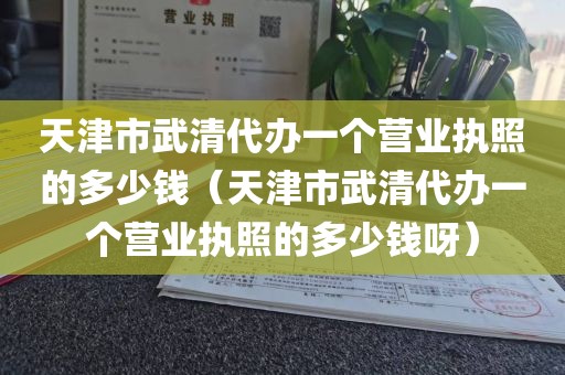天津市武清代办一个营业执照的多少钱（天津市武清代办一个营业执照的多少钱呀）