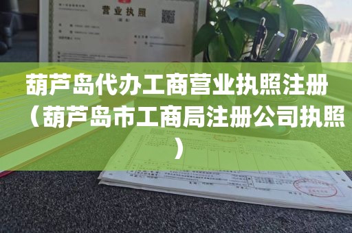 葫芦岛代办工商营业执照注册（葫芦岛市工商局注册公司执照）