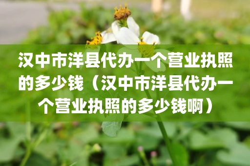 汉中市洋县代办一个营业执照的多少钱（汉中市洋县代办一个营业执照的多少钱啊）