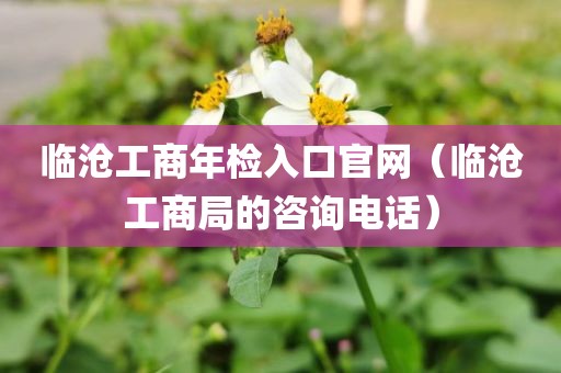 临沧工商年检入口官网（临沧工商局的咨询电话）
