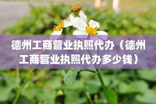 德州工商营业执照代办(德州工商营业执照代办多少钱)