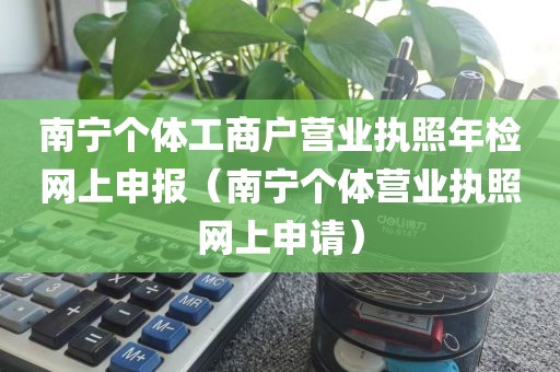 南宁个体工商户营业执照年检网上申报（南宁个体营业执照网上申请）