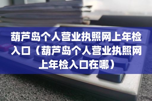 葫芦岛个人营业执照网上年检入口（葫芦岛个人营业执照网上年检入口在哪）