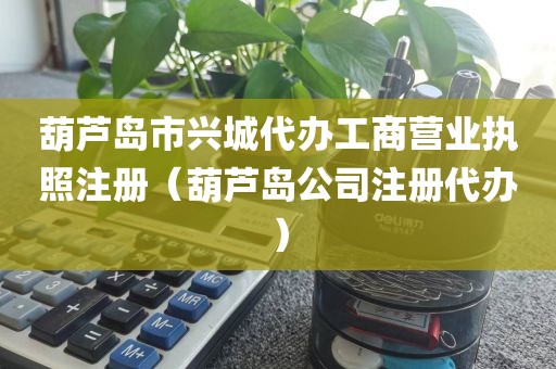葫芦岛市兴城代办工商营业执照注册(葫芦岛公司注册代办)