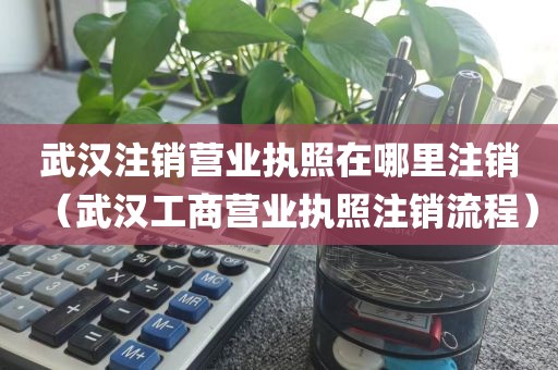 武汉注销营业执照在哪里注销(武汉工商营业执照注销流程)
