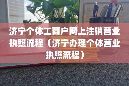 济宁个体工商户网上注销营业执照流程（济宁办理个体营业执照流程）