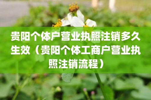 贵阳个体户营业执照注销多久生效（贵阳个体工商户营业执照注销流程）