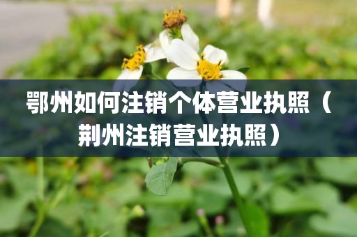 鄂州如何注销个体营业执照（荆州注销营业执照）