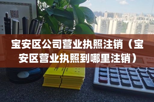 宝安区公司营业执照注销(宝安区营业执照到哪里注销)