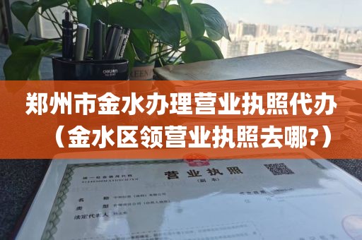 郑州市金水办理营业执照代办（金水区领营业执照去哪?）