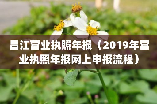 昌江营业执照年报（2019年营业执照年报网上申报流程）
