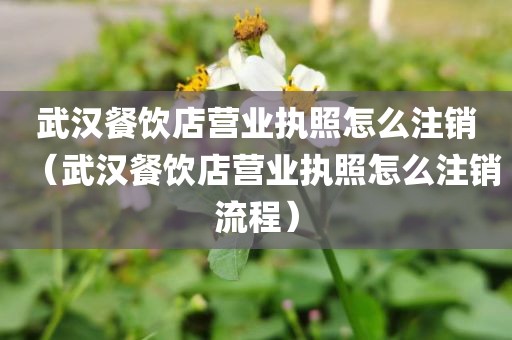 武汉餐饮店营业执照怎么注销（武汉餐饮店营业执照怎么注销流程）