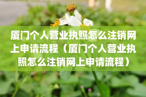 厦门个人营业执照怎么注销网上申请流程（厦门个人营业执照怎么注销网上申请流程）