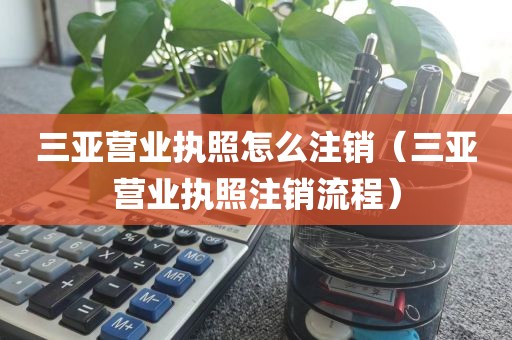三亚营业执照怎么注销（三亚营业执照注销流程）