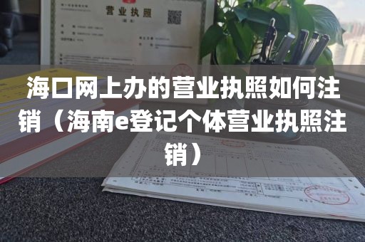 海口网上办的营业执照如何注销（海南e登记个体营业执照注销）