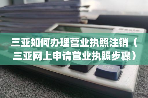 三亚如何办理营业执照注销（三亚网上申请营业执照步骤）