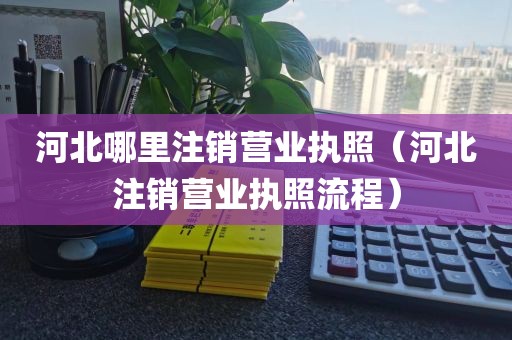 河北哪里注销营业执照（河北注销营业执照流程）