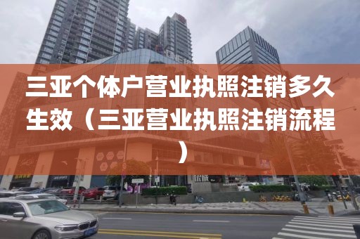 三亚个体户营业执照注销多久生效（三亚营业执照注销流程）