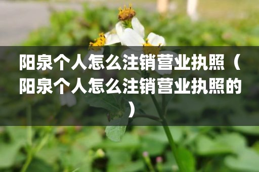 阳泉个人怎么注销营业执照（阳泉个人怎么注销营业执照的）