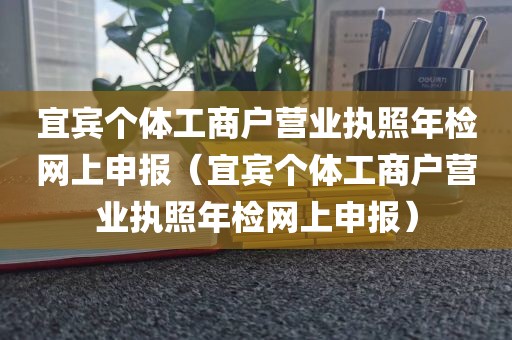 宜宾个体工商户营业执照年检网上申报（宜宾个体工商户营业执照年检网上申报）