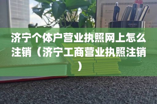 济宁个体户营业执照网上怎么注销（济宁工商营业执照注销）