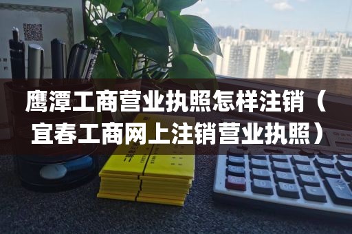 鹰潭工商营业执照怎样注销（宜春工商网上注销营业执照）