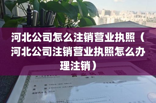 河北公司怎么注销营业执照（河北公司注销营业执照怎么办理注销）