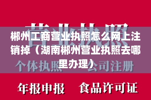 郴州工商营业执照怎么网上注销掉（湖南郴州营业执照去哪里办理）