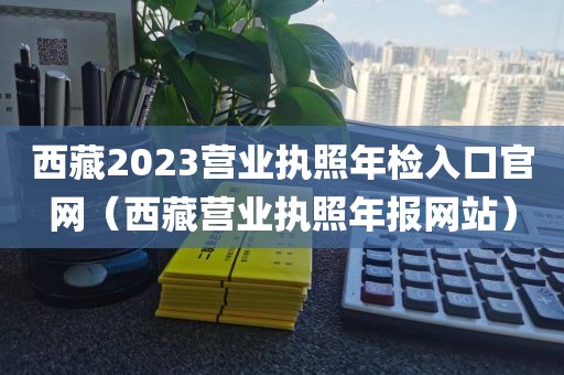 西藏2023营业执照年检入口官网（西藏营业执照年报网站）
