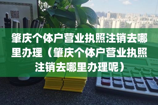 肇庆个体户营业执照注销去哪里办理（肇庆个体户营业执照注销去哪里办理呢）