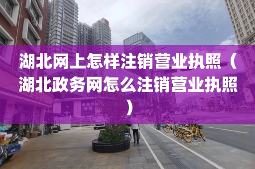 湖北网上怎样注销营业执照（湖北政务网怎么注销营业执照）