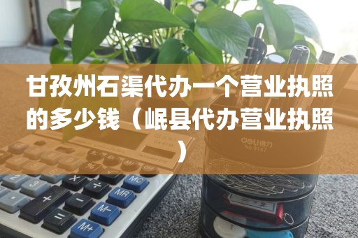 甘孜州石渠代办一个营业执照的多少钱（岷县代办营业执照）