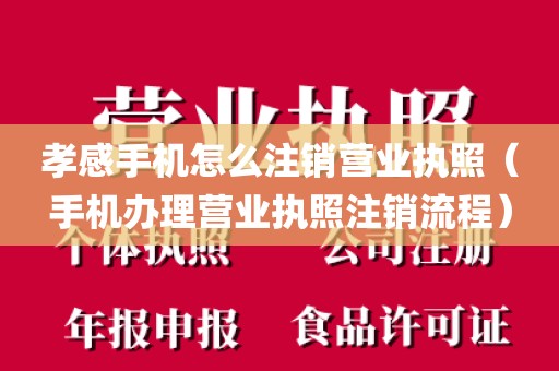 孝感手机怎么注销营业执照（手机办理营业执照注销流程）