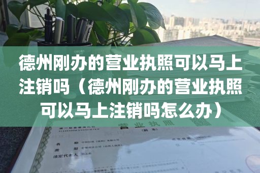 德州刚办的营业执照可以马上注销吗（德州刚办的营业执照可以马上注销吗怎么办）