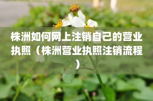 株洲如何网上注销自己的营业执照（株洲营业执照注销流程）