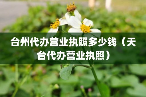 台州代办营业执照多少钱（天台代办营业执照）
