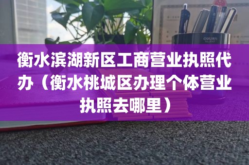 衡水滨湖新区工商营业执照代办（衡水桃城区办理个体营业执照去哪里）
