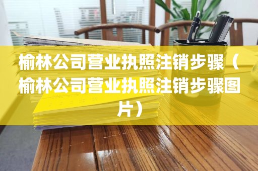 榆林公司营业执照注销步骤（榆林公司营业执照注销步骤图片）