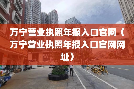 万宁营业执照年报入口官网（万宁营业执照年报入口官网网址）