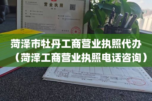 菏泽市牡丹工商营业执照代办(菏泽工商营业执照电话咨询)