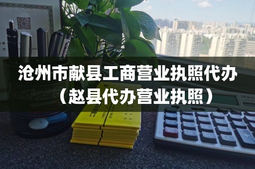 沧州市献县工商营业执照代办（赵县代办营业执照）