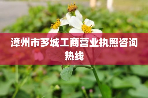 漳州市芗城工商营业执照咨询热线