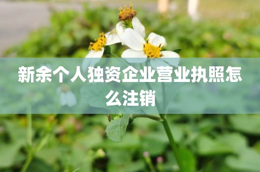 新余个人独资企业营业执照怎么注销