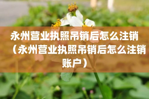 永州营业执照吊销后怎么注销（永州营业执照吊销后怎么注销账户）