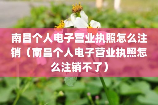 南昌个人电子营业执照怎么注销（南昌个人电子营业执照怎么注销不了）