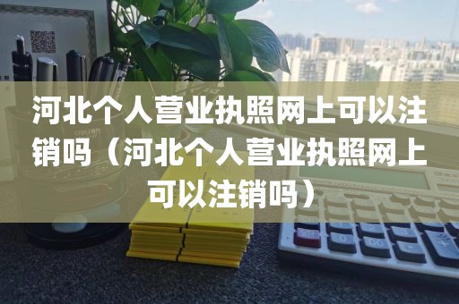 河北个人营业执照网上可以注销吗（河北个人营业执照网上可以注销吗）